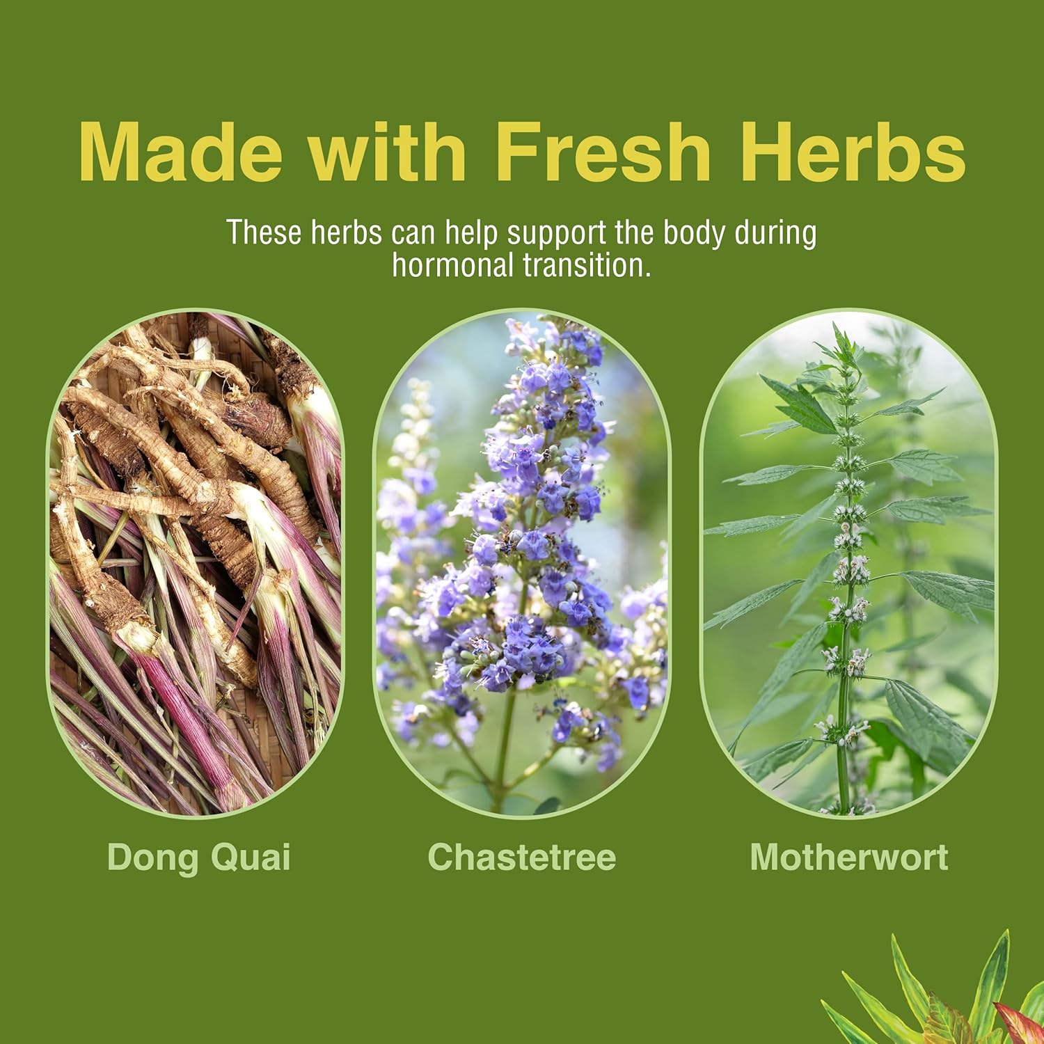 Herbs, Etc. Menopautonic Softgels - Essential Supplement For Women - Hormonal Transition Support Supplement - Offers Menopausal Support With Dong Quai & Motherwort - 120 Softgels (120 Servings) : Health & Household