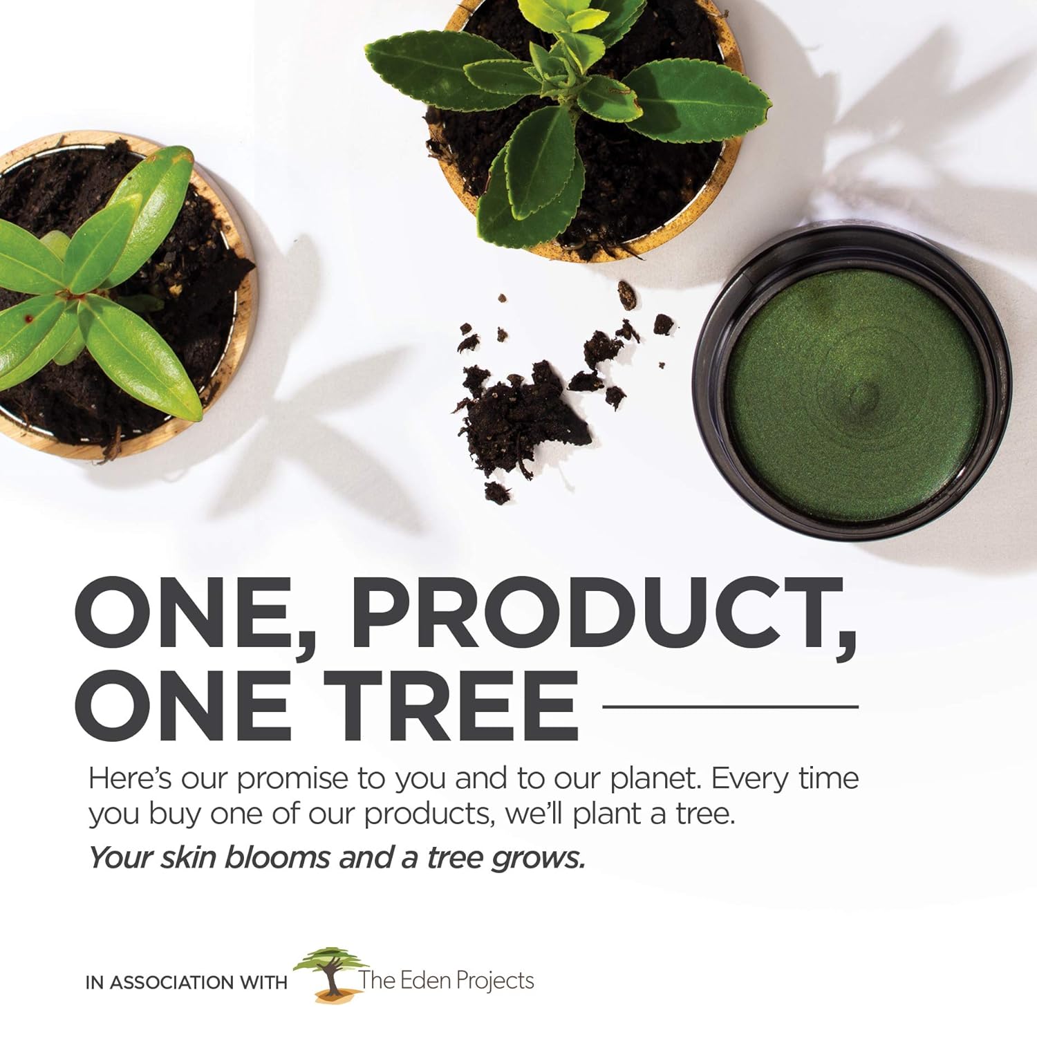 Natural Organic Face Moisturizer, Vegan, Cruelty-Free, Gluten Free, Bioactive, Certified Organic Ingredients, Moisturizing, Helps Skin To Breathe And Regenerate : Beauty & Personal Care