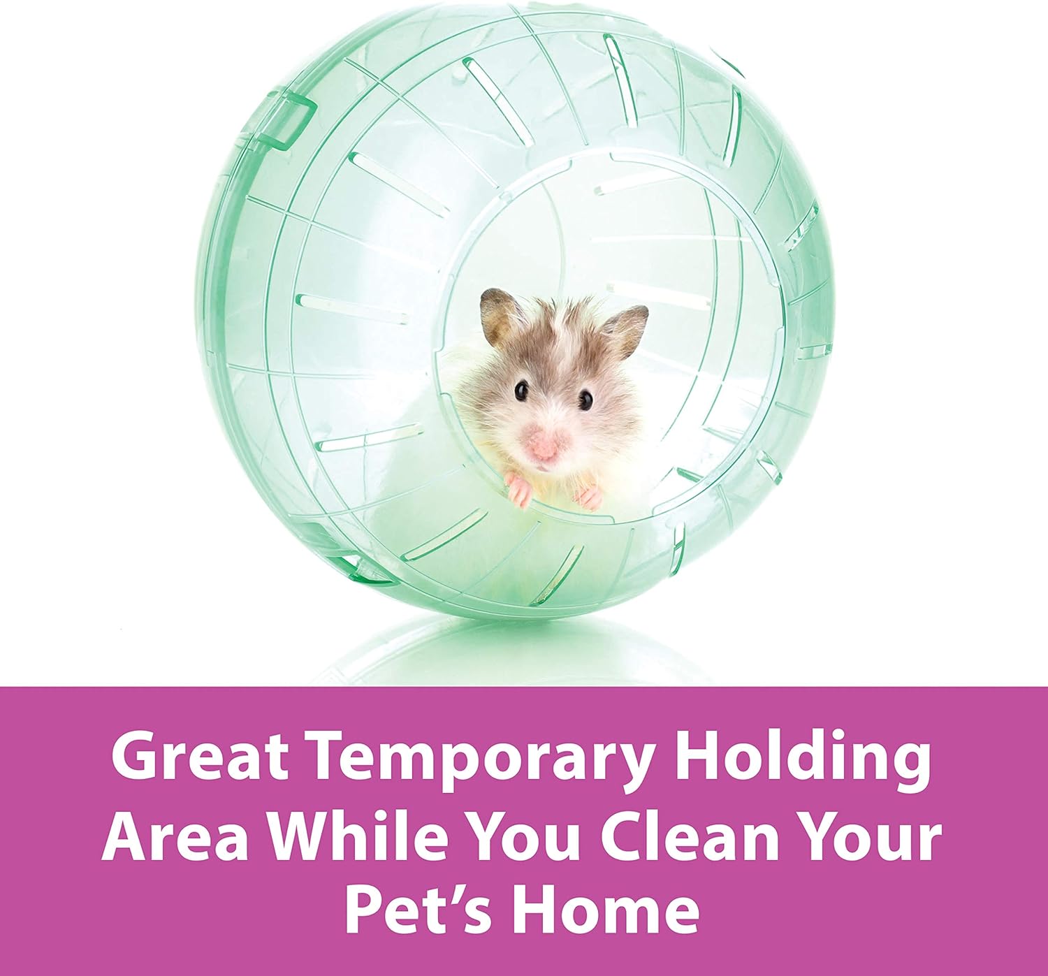 Kaytee 13" Clear Run-About Exercise Ball For Pet Rats & Chinchillas : Pet Exercise Wheels : Pet Supplies