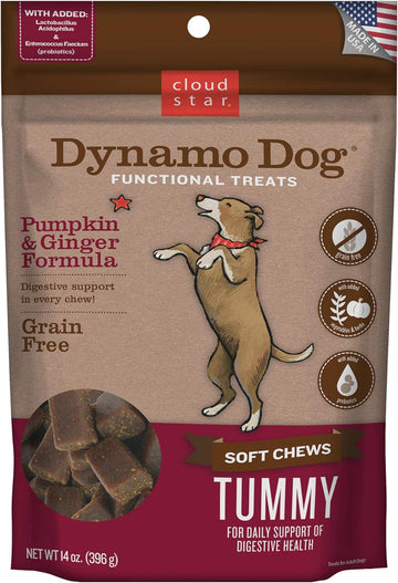 Cloud Star Dynamo Dog Tummy Treats – Soft & Chewy Probiotics Support for Dogs (14 oz. Pumpkin and Ginger) (20212)