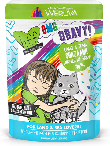 Weruva B.F.F. Omg - Best Feline Friend Oh My Gravy!, Shazaam! With Lamb & Tuna In Gravy Cat Food, 2.8Oz Pouch (Pack Of 12)