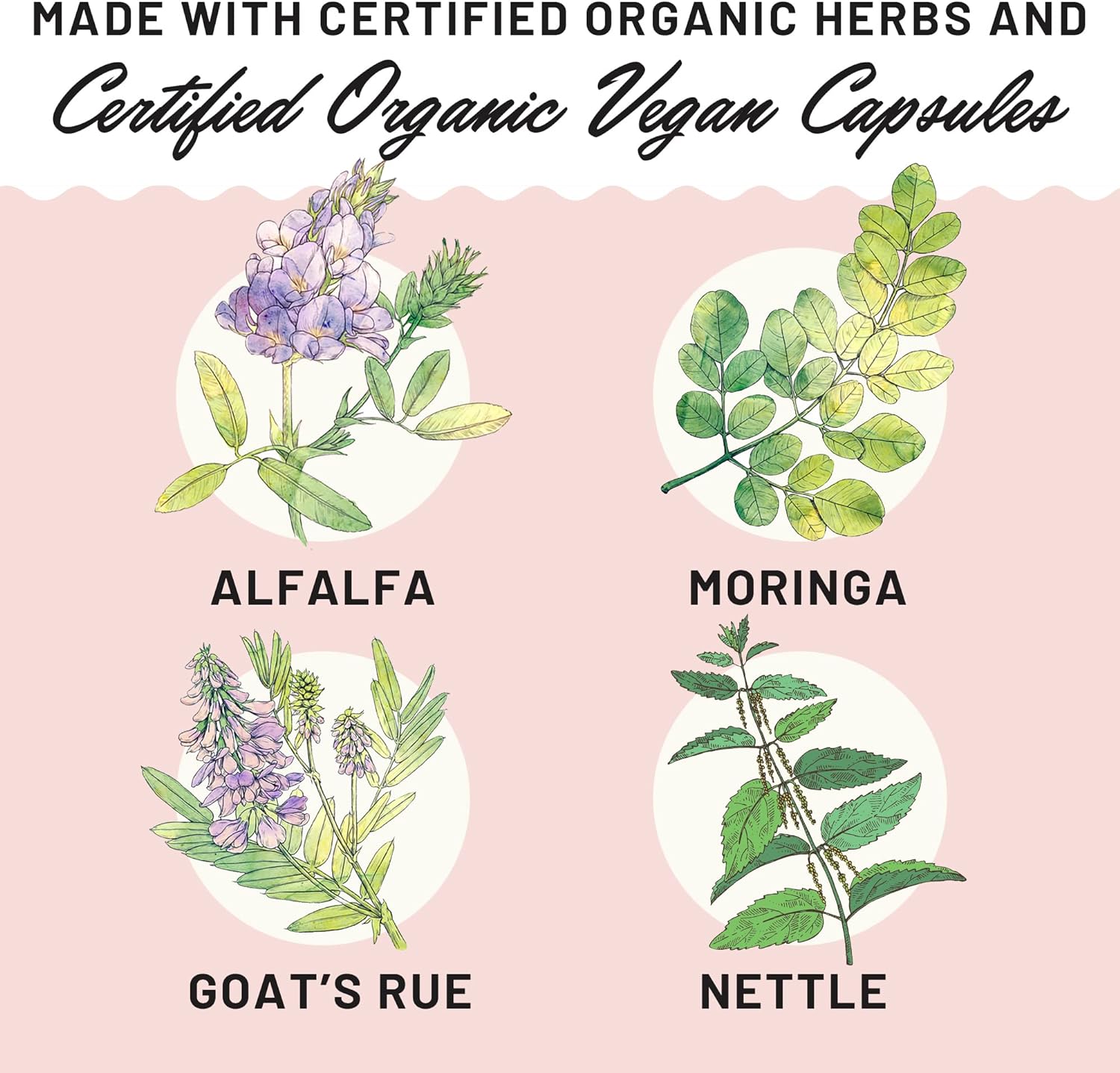 Legendairy Milk Cash Cow Lactation Supplement, Moringa, Alfalfa, and Goat's Rue Breastfeeding Supplement for Milk Supply Increase, Fenugreek-Free, Certified Organic, Vegan, Non-GMO, 60 Capsules : Health & Household