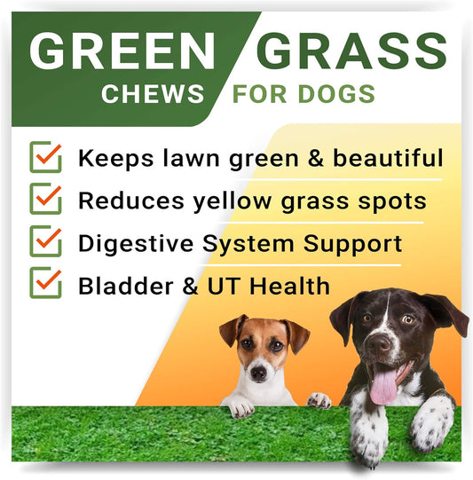 StrellaLab Grass Restore Treats for Dogs - Dog Pee Lawn Repair Chew Probiotics + Digestive Enzymes, Cranberry - Dog Urine Neutralizer for Grass Burn Spots - Health & Wellness Supplements for Dog