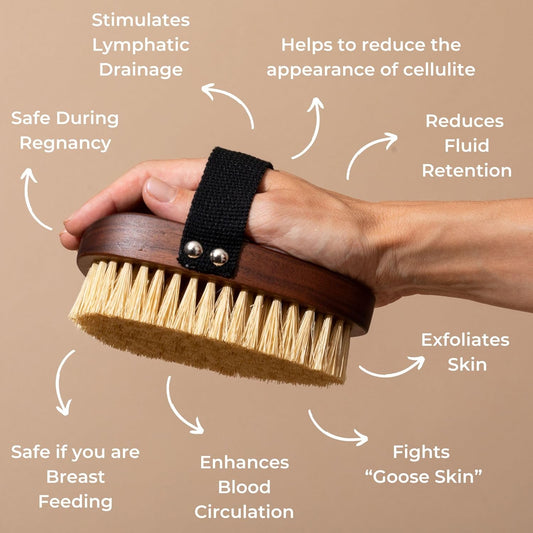 Urban Veda Ayurvedic Dry Body Brush |Dry Body Brushing |Walnut Wood & Cactus Fibre | Silicone Body Scrubber Alternative| Exfoliating Scrubbing Brush For Lymphatic Drainage |Detox & Cellulite Reduction