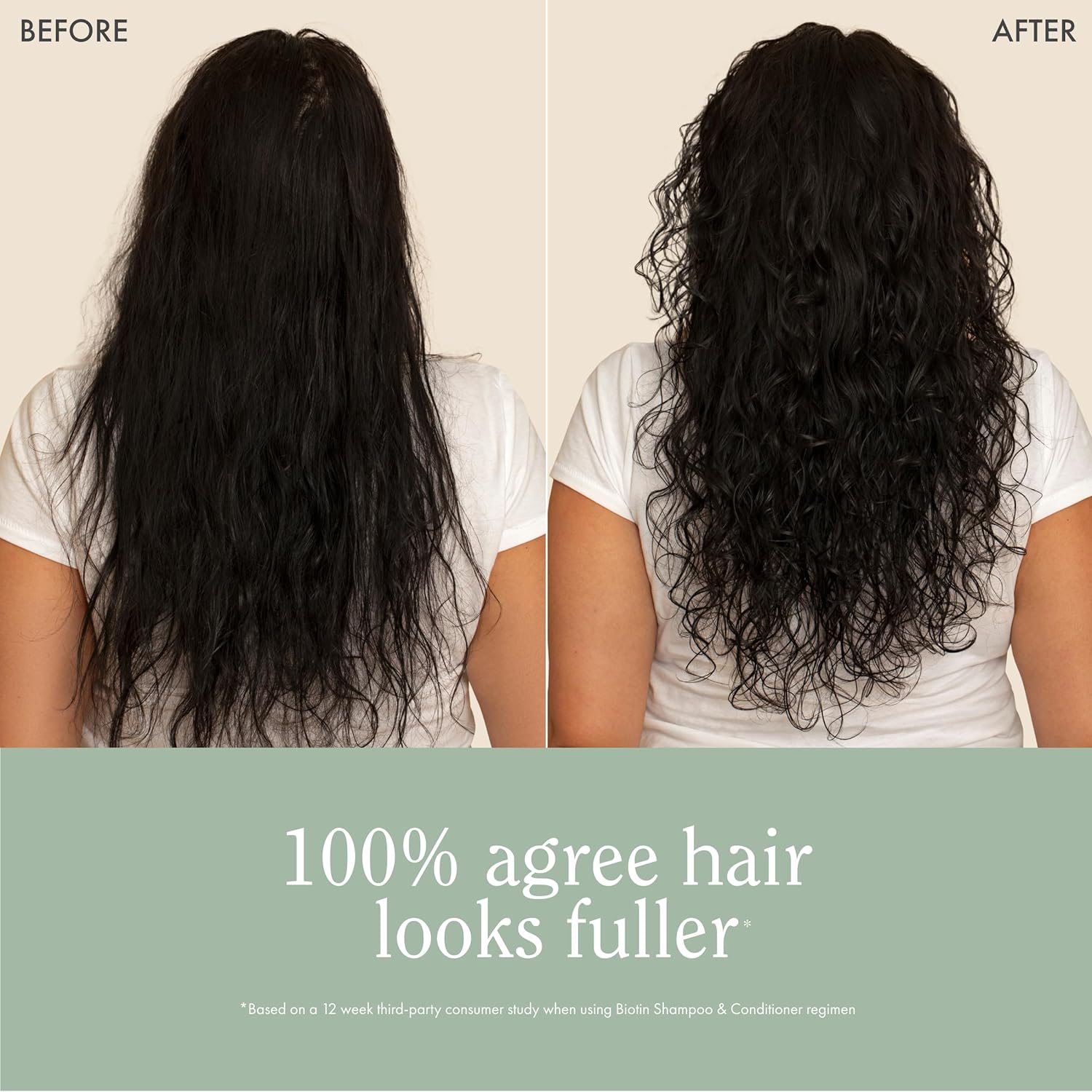 Rizos Curls Biotin Shampoo Gently Cleanse, Strengthen & Nourish Hair With Biotin & Rosemary Oil Reduces Shedding For Fuller, Healthier Hair For All Hair Types Sulfate & Paraben Free : Beauty & Personal Care
