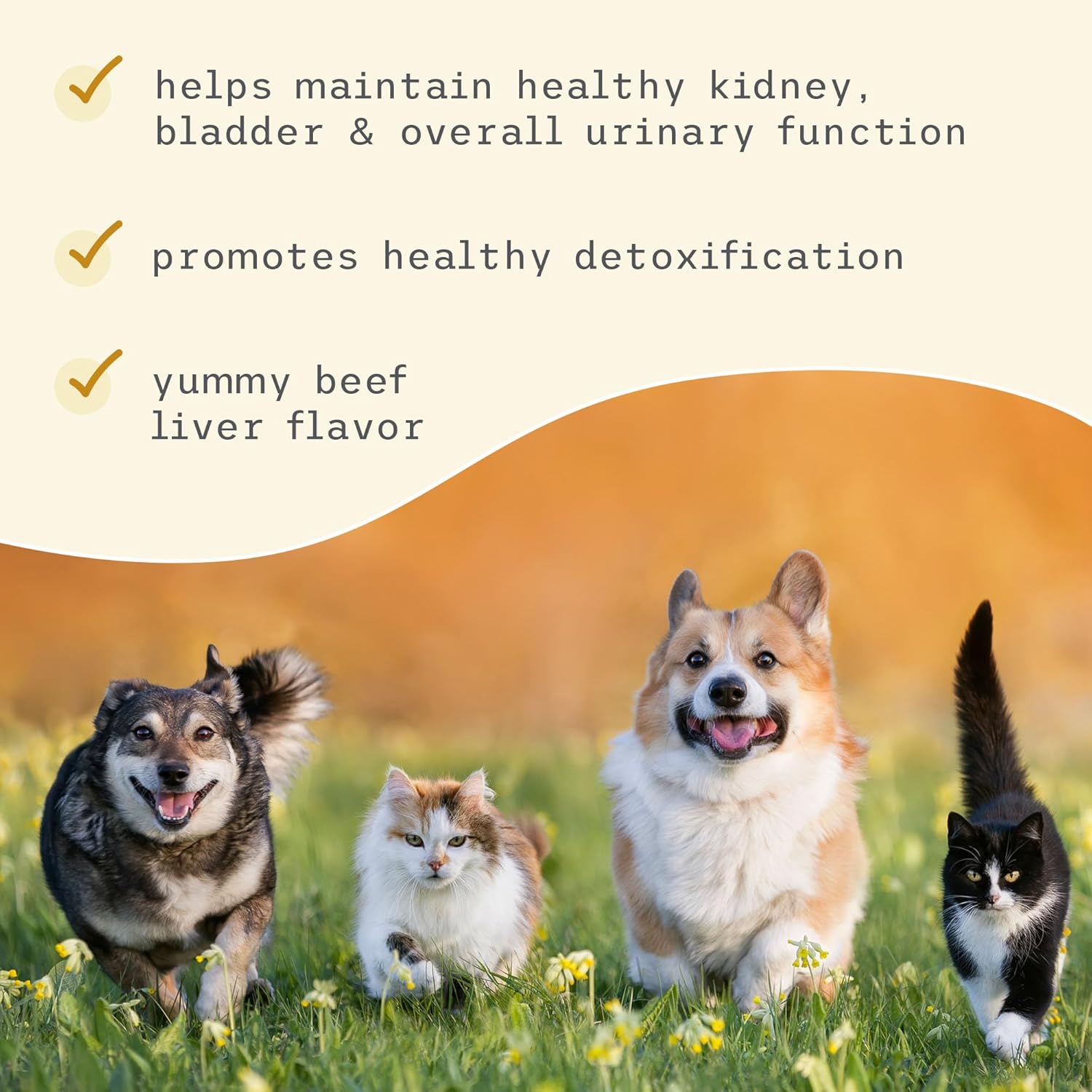 Bark & Whiskers Bladder Support, 3.17 Oz. (90 G), 90 Scoops, Supports Urinary Tract Health, With Cranbery & D-Mannose, Vet Formulated, Non-Gmo, Dr. Mercola : Pet Supplies