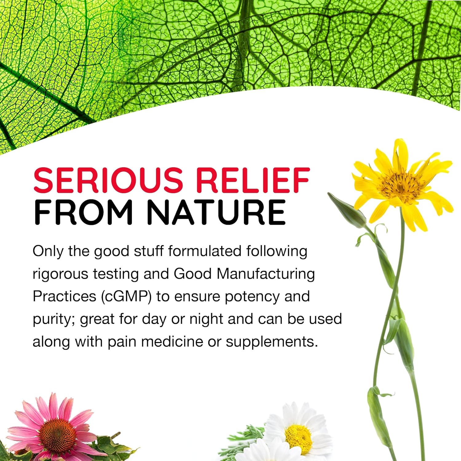 Medinatura T-Relief Extra Strength Gel Arnica +12 Natural Relieving Actives For Back Pain Joint Soreness Muscle Aches & Stiffness Whole Body Fast Acting Relief For Women & Men - 3 Oz : Health & Household