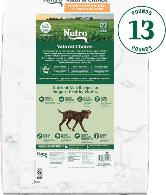 Nutro Natural Choice Large Breed Puppy Dry Dog Food, Chicken And Brown Rice Recipe, 13 Lbs