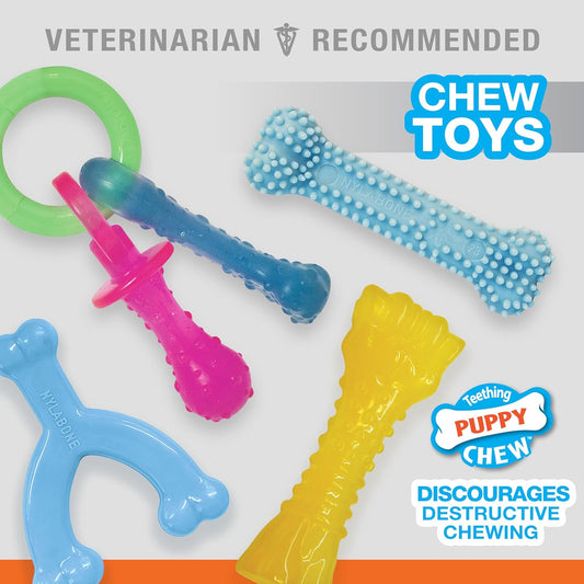 Nylabone Puppy Chew Toy Bundle - Puppy Chew Toys For Teething - Puppy Supplies - Chicken & Bacon Flavors, X-Small/Petite (4 Count)