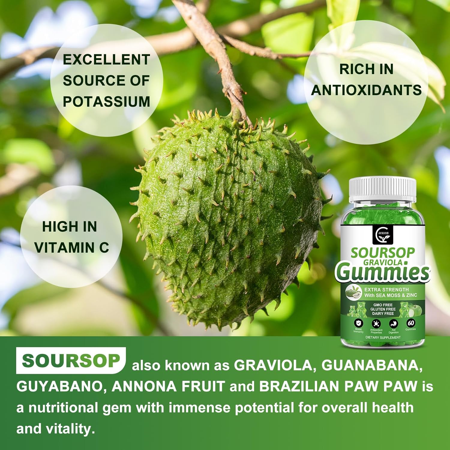 Organic Soursop Graviola Gummies - 2200Mg Extra Strength Soursop Leaves Extract W/Sea Moss Extract 200Mg, Zinc & Vitamin C - Supports Immunity, Liver, Zzz & Antioxidant, Gluten Free, Vegan, 60 Gummies : Health & Household