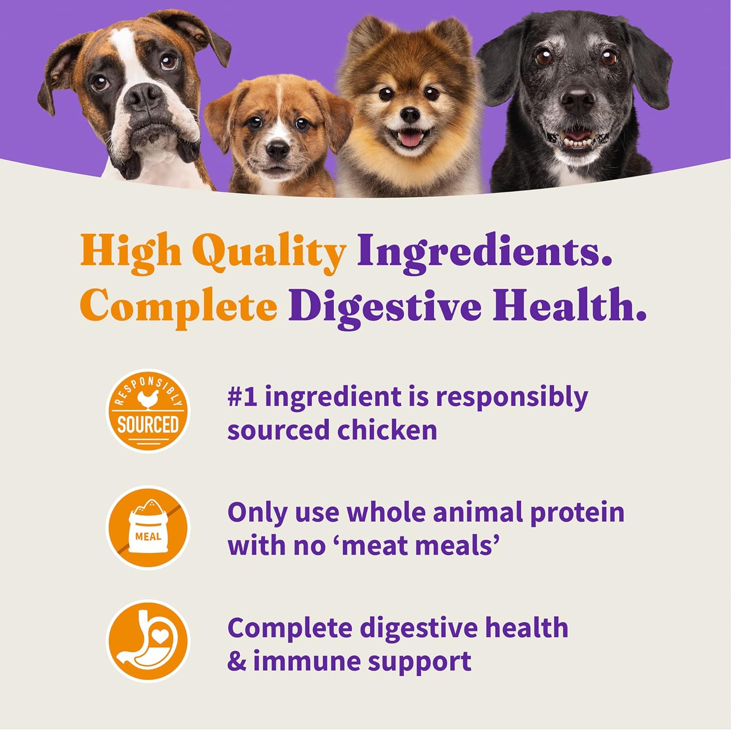 Halo Holistic Dog Food, Complete Digestive Health Cage-Free Chicken and Brown Rice Recipe, Dry Dog Food Bag, Small Breed Formula, 10-lb Bag : Dry Pet Food : Pet Supplies