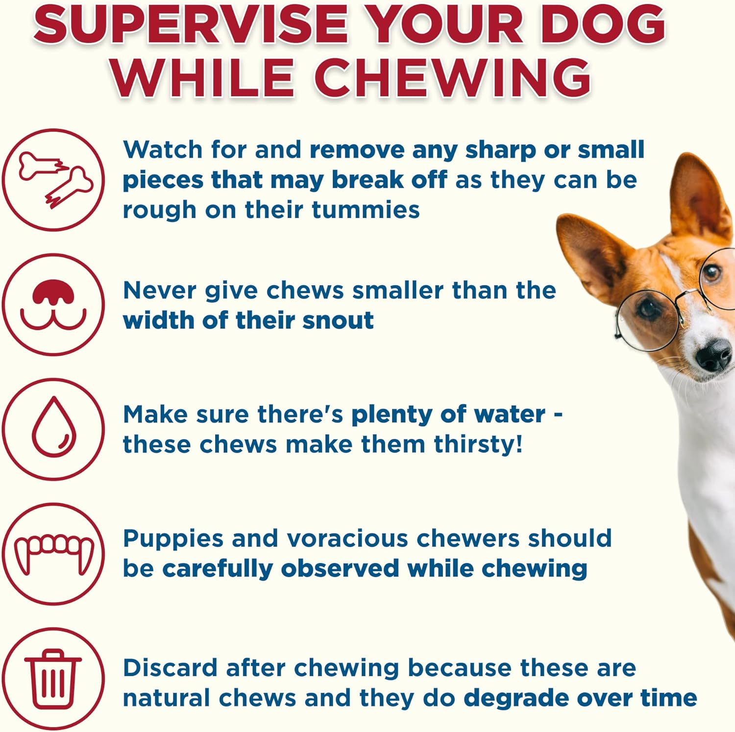 Marrow Bones for Dogs, 8 Pack - USA Packed Healthy Dog Treats, Dog Bones for Large Dogs - Grass-Fed Beef Long Lasting Dog Chews, by Best Bully Sticks : Pet Supplies