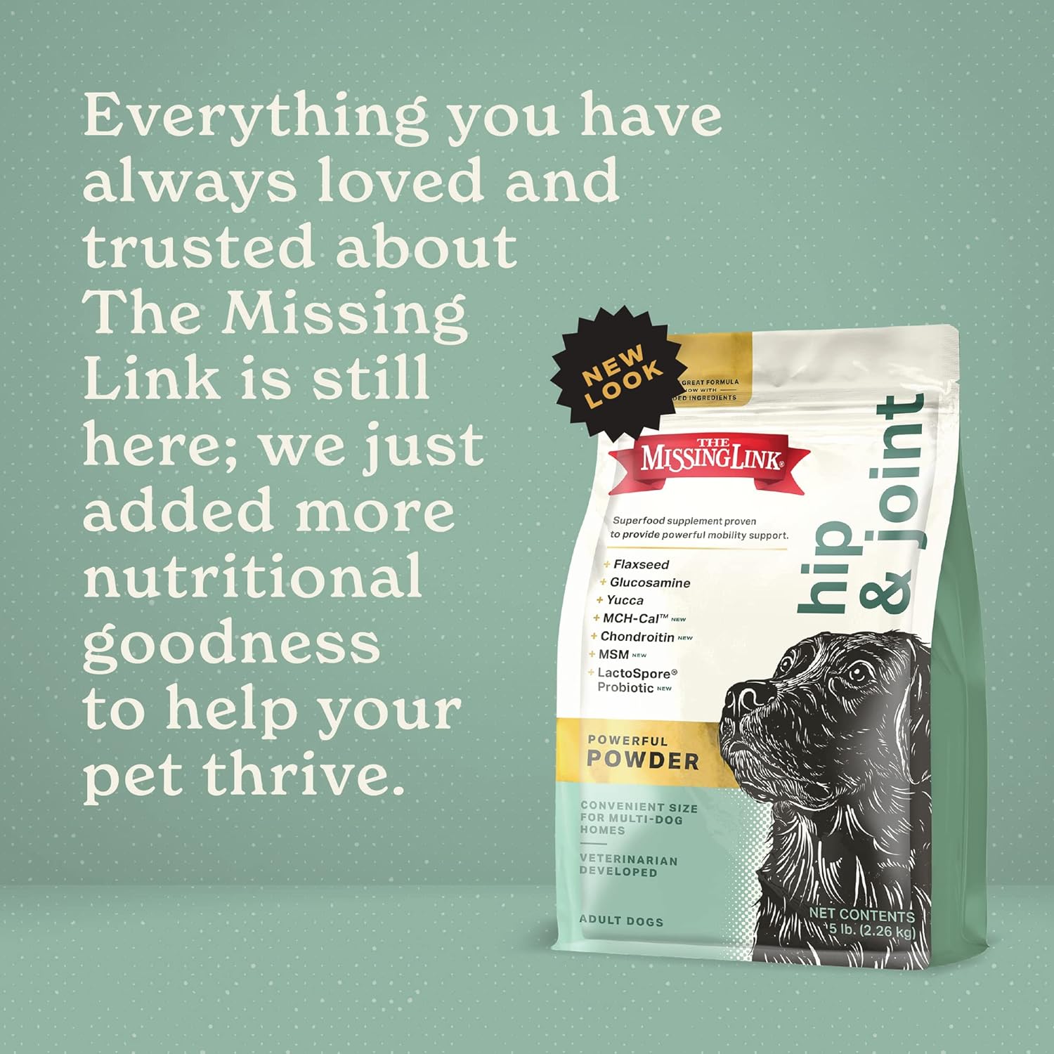 The Missing Link Hip & Joint + Probiotics Supplement 5lb Bag - Superfood Powder for Dog Cartilage & Bone Health, Joint Mobility & Flexibility : Pet Supplements And Vitamins : Pet Supplies