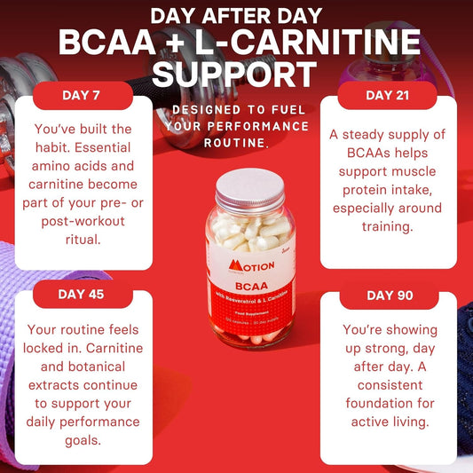 Motion Nutrition Body Strength Bcaa – High Performance Bcaa Capsules With Resveratrol And L-Carnitine – Strength And Recovery - Vegan/Anti-Oxidant Rich (120 Capsules)