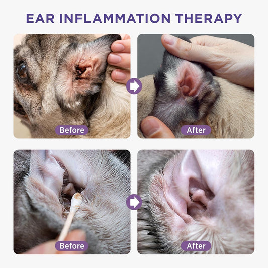 Hicc Pet Dog Ear Cleaner - Dog Ear Inflammation Therapy With 0.012% Hypochlorous Acid For Itch Relief, Soothe Ear Inflammation, Removes Wax, Odor, With 30 Cotton Swabs, 4 Fl Oz