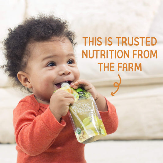 Happy Baby Organics Stage 2 Baby Food Pouches, Gluten Free, Vegan & Healthy Snack, Clearly Crafted Fruit & Veggie Puree, Pear Squash & Blackberries, 4 Ounces (Pack Of 2)