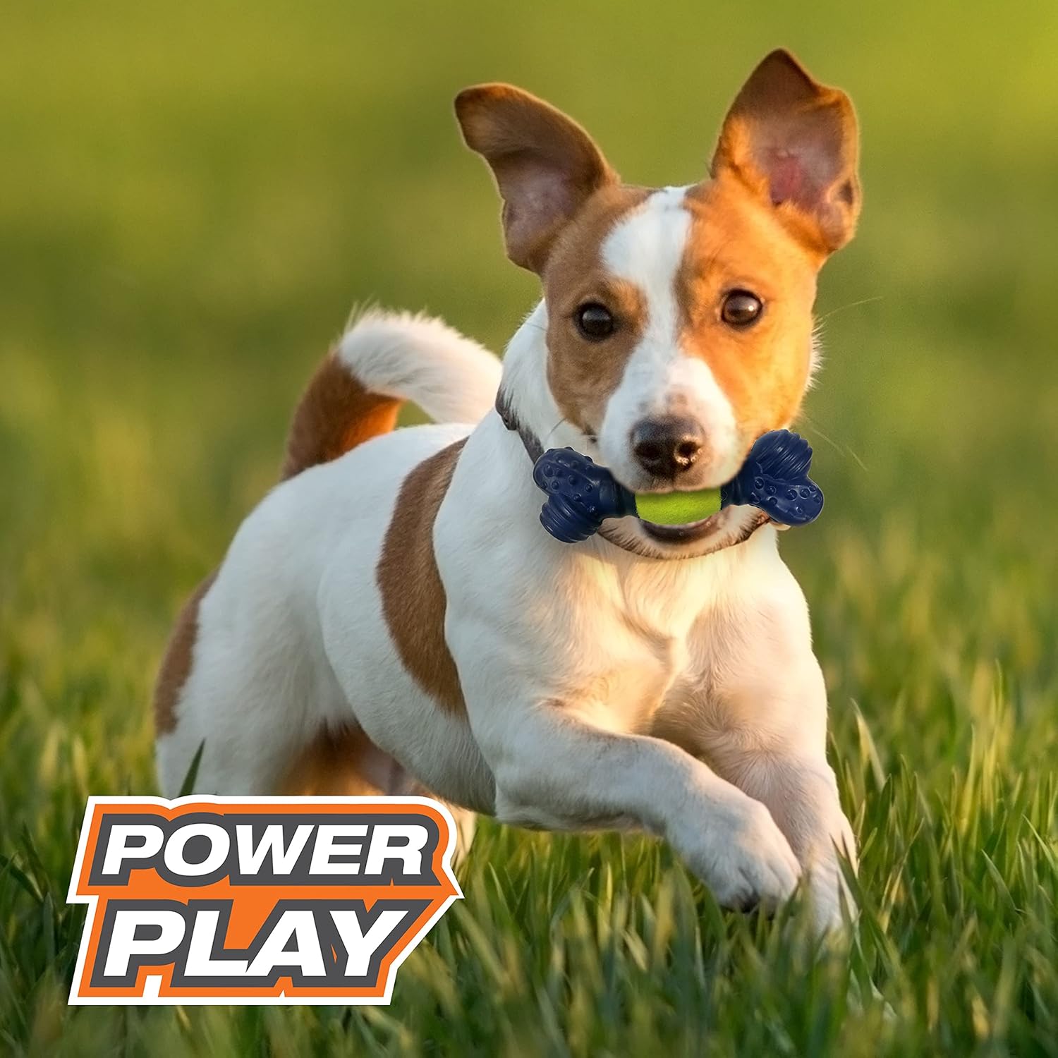 Pet Supplies : Nylabone Power Play Tennis Play 'n Fetch Interactive Dog Toy : Amazon.com