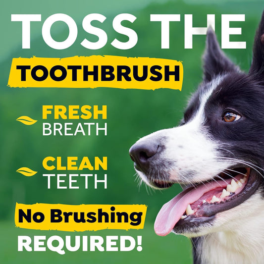 TropiClean Fresh Breath Dog Teeth Cleaning – Dog Dental Care for Bad Breath - Breath Freshener - Water Additive Mouthwash – Helps Remove Plaque Off Dogs Teeth, Original, 236ml?FBWA8Z