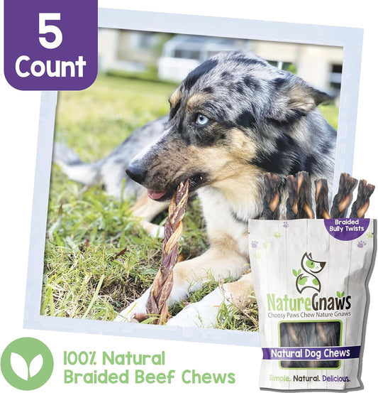 Nature Gnaws Braided Bully Twists For Dogs 11-12" (5 Count) - Long Lasting For Aggressive Chewers And Large Dogs - Natural Beef Dog Chew Bones