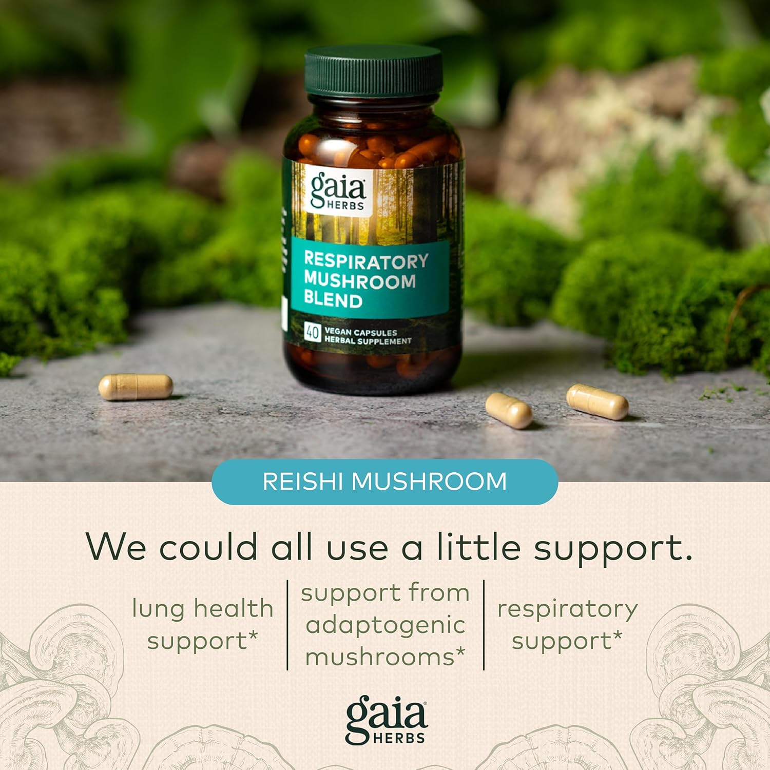 Gaia Herbs Respiratory Mushroom Blend - Immune Support Herbal Supplement to Help Maintain Overall Lung and Respiratory Health - WIth Reishi and Cordyceps* Mushrooms - 40 Vegan Capsules (40-Day Supply) : Health & Household