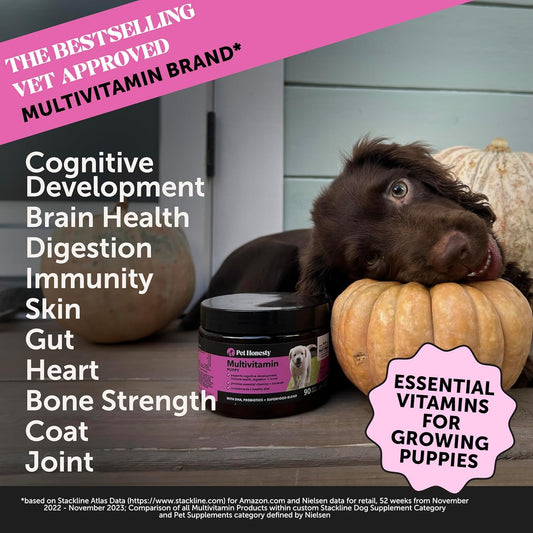Pet Honesty Multivitamin Puppy Treats - Essential Dog Supplements & Vitamins For Learning And Cognitive Development- Probiotics, Omega Fish Oil For Health & Heart, Immune Health - Dog Health Supplies