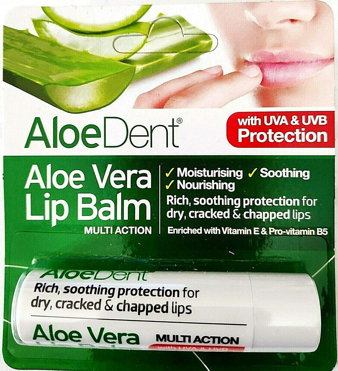 Aloe Dent Aloe Vera Lip Balm 4g (Pack of 6) : Amazon.co.uk: Beauty