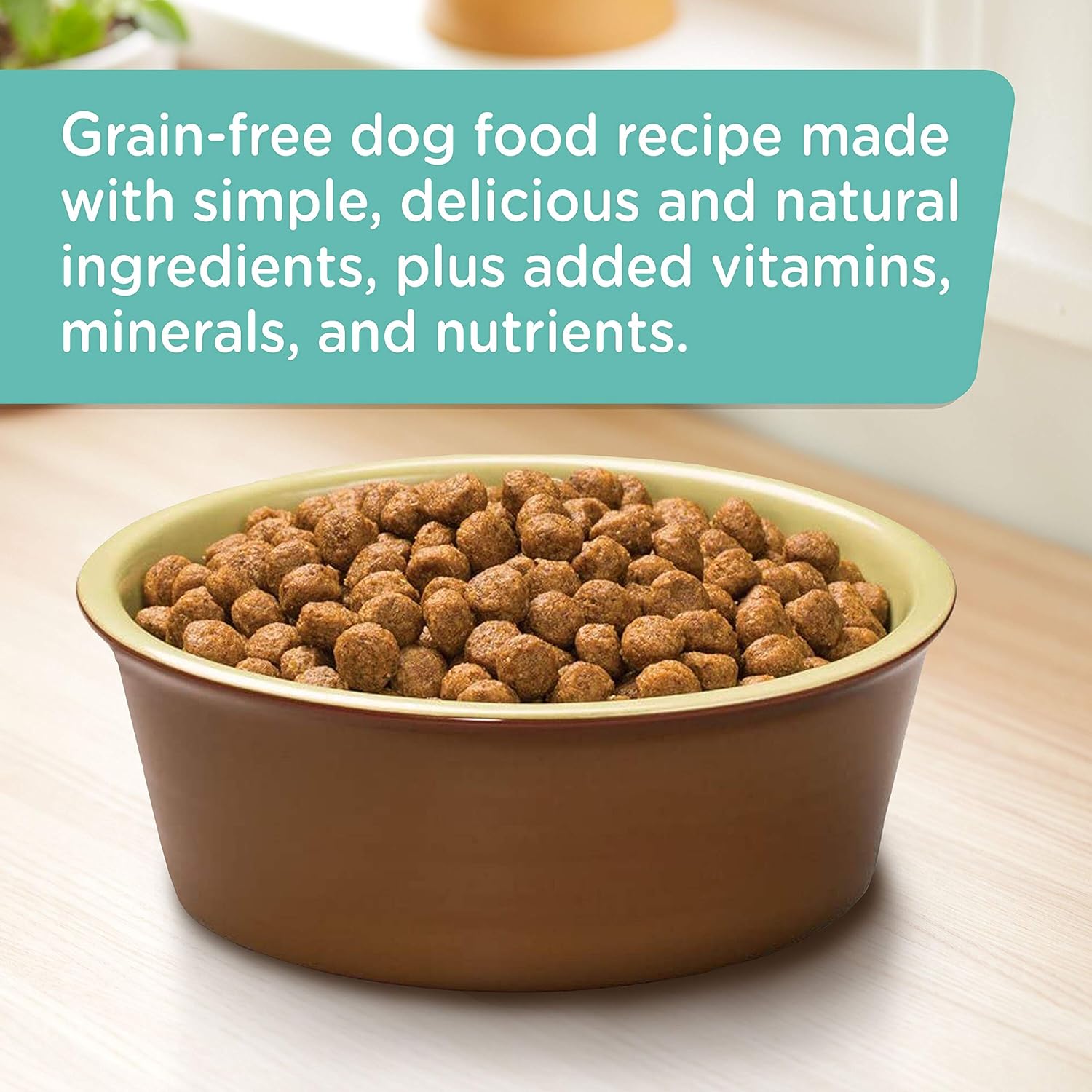 Rachael Ray Nutrish Zero Grain Dry Dog Food, Natural Dog Food with Added Vitamins, Minerals & Taurine, Salmon & Sweet Potato Recipe, 23 Pounds : Pet Supplies