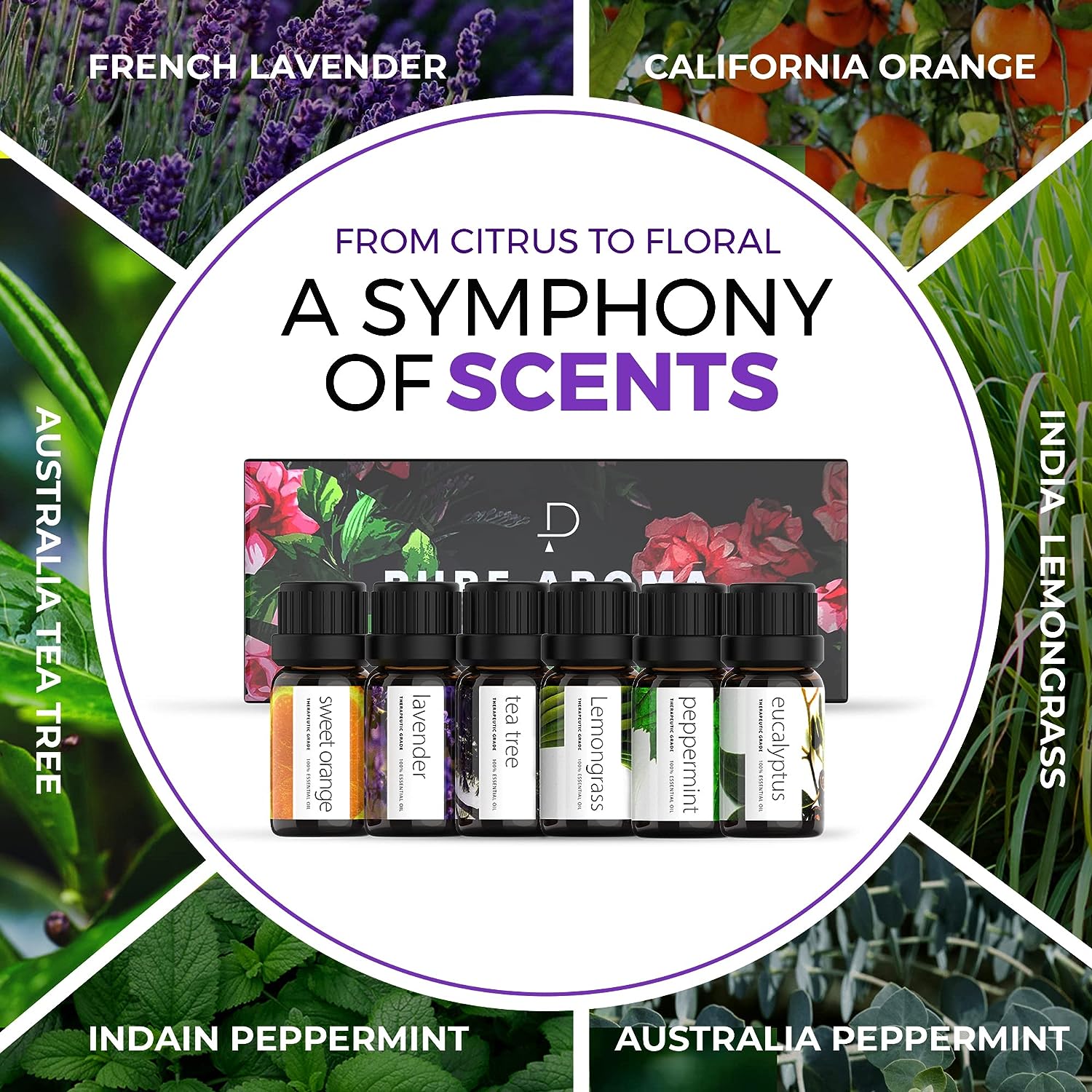 Essential Oils by PURE AROMA 100% Pure Oils kit- Top 6 Aromatherapy Oils Gift Set-6 Pack, 10ML(Eucalyptus, Lavender, Lemon Grass, Orange, Peppermint, Tea Tree) : Health & Household