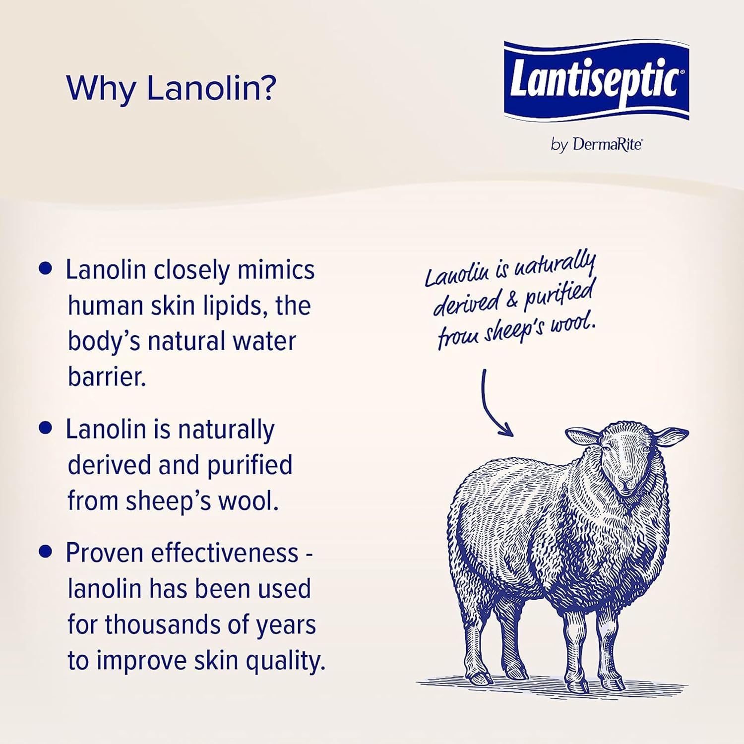 Dermarite Lantiseptic Dry Skin Therapy Skin Protectant - Scented Moisturizing Cream, Enriched With 30% Lanolin - 14 Oz. Jar, 2 Count : Industrial & Scientific