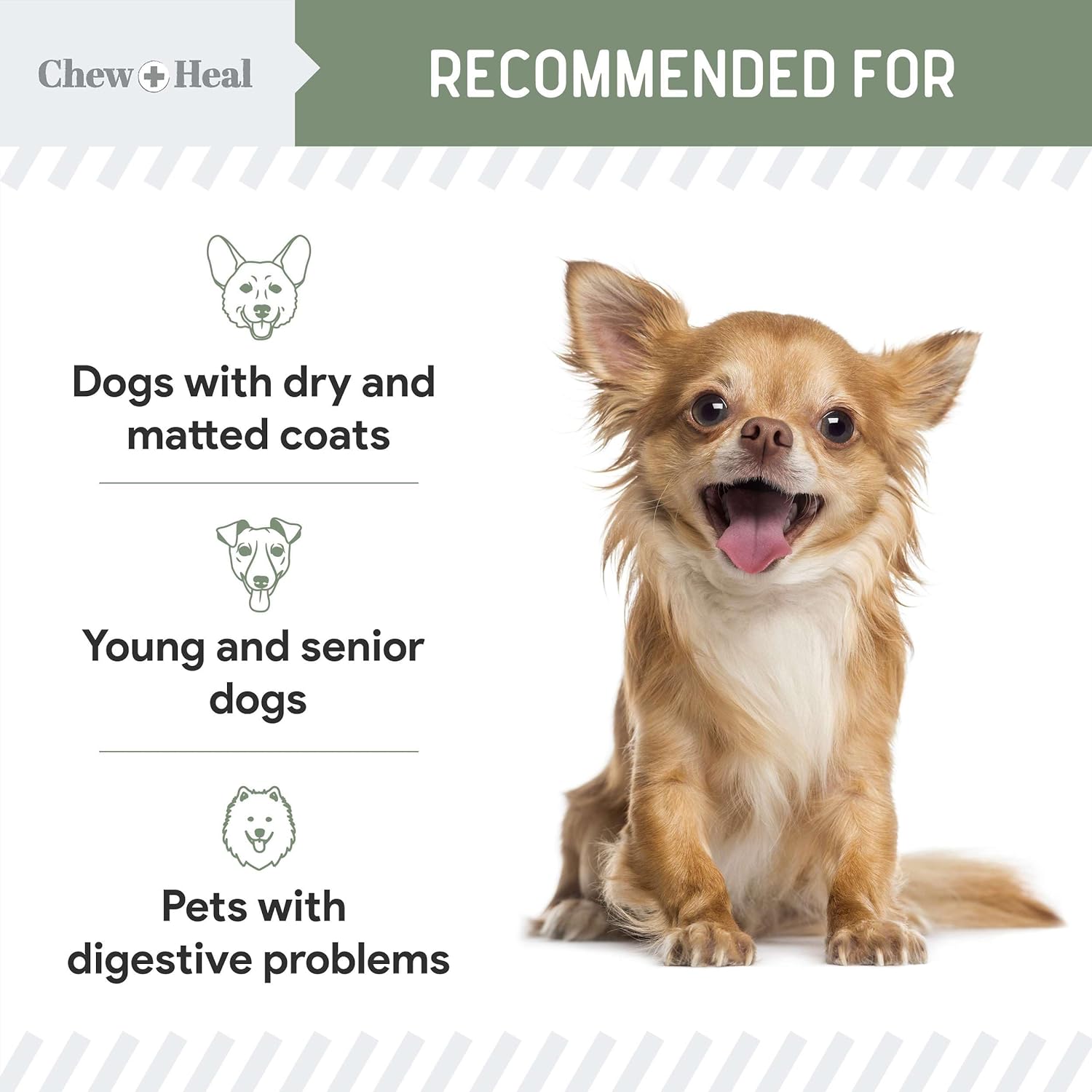 Chew + Heal All in 1 Dog Vitamin - 120 Soft Chew Treats - Chewable Multivitamin with Probiotics, Digestive Enzymes, for Skin and Coat, Hip and Joint Support - with Omega, Calcium - Made in The USA