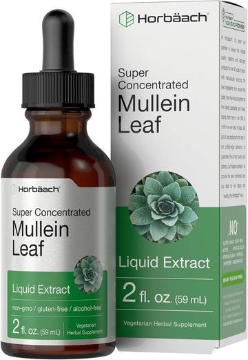 Horbäach Mullein Leaf Tincture Drops | 2 Fl Oz | Alcohol Free Liquid Extract | Vegetarian, Non-Gmo & Gluten Free Herbal Supplement