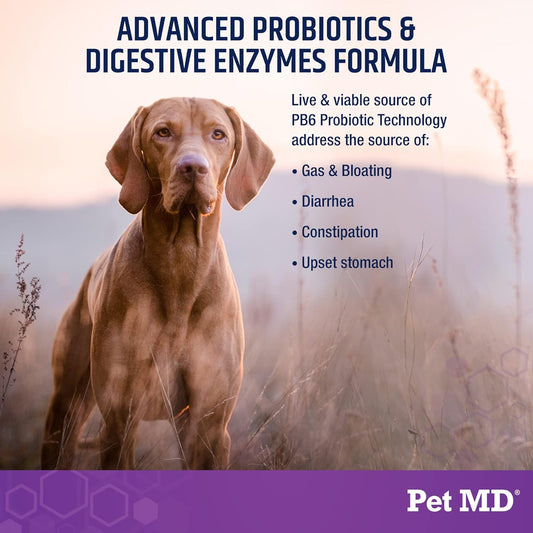 Pet Md Probiotics & Enzymes For Dogs - Gut Health Chews With Prebiotics - Digestive Aid For Dogs With Upset Stomach, Diarrhea, Constipation, Or Gas - Functional Probiotics For Dogs - 60 Ct