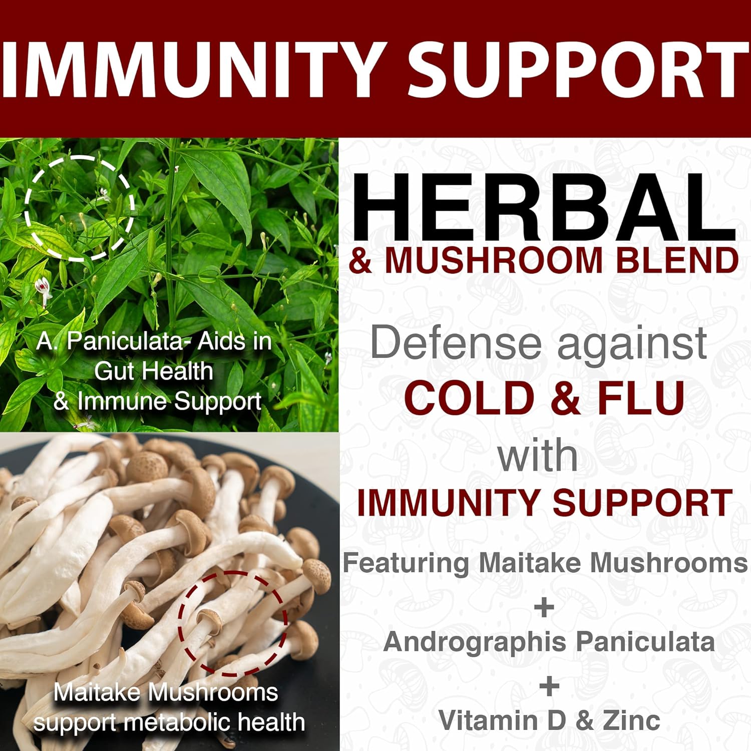 rekemend Mushroom Supplement for Immune Support - Contains Lions Mane, Cordyceps & Reishi Mushroom Extracts - 60 Capsules : Health & Household