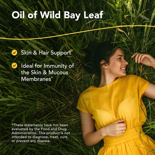 North American Herb & Spice Wild Oil of Bay Leaf - 1 fl oz - Skin & Hair Support - Handpicked, Organic, Non-GMO - 286 Servings