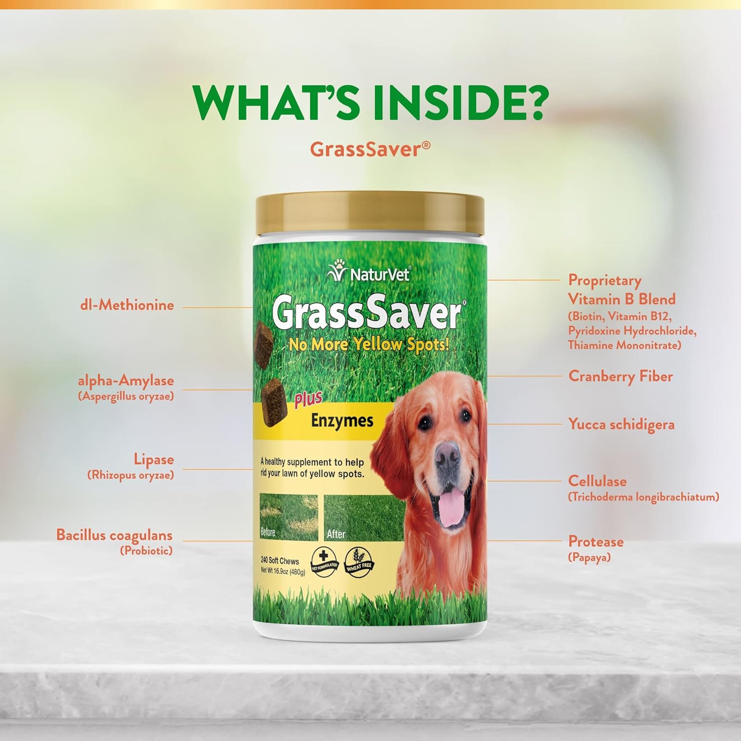 Naturvet – Grasssaver Supplement For Dogs – Healthy Supplement To Help Rid Your Lawn Of Yellow Spots – Synergistic Combination Of B-Complex Vitamins & Amino Acids – 240 Soft Chews