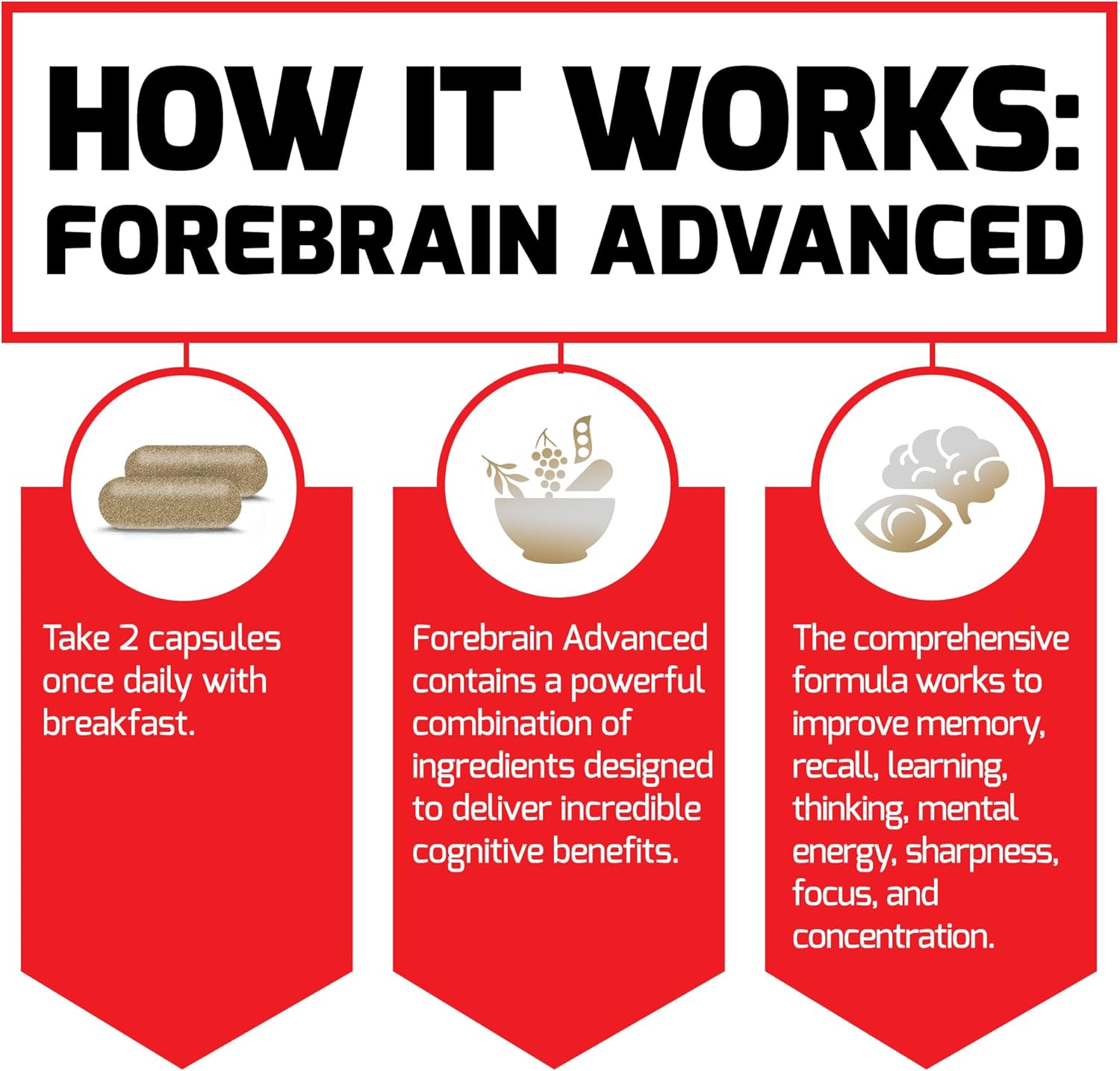 FORCE FACTOR Forebrain Advanced Brain Booster, Brain Supplement for Memory Support, Concentration, Focus, Thinking, and Mental Energy, Made with Powerful Ingredients That Work Fast, 60 Capsules : Health & Household