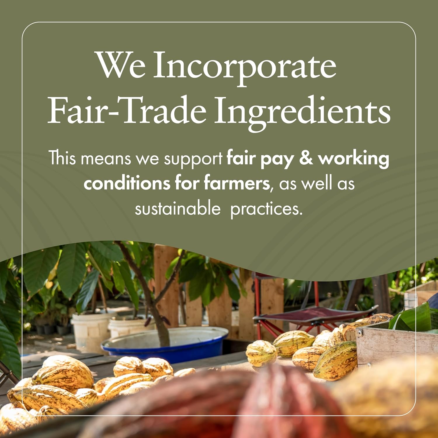 Emerginc Scientific Organics Resurfacing Facial Kit - Single-Use Exfoliating Skincare Set For Removing Dead Skin Cells + Reducing Appearance Of Wrinkles - Diy Facial Kit : Beauty & Personal Care