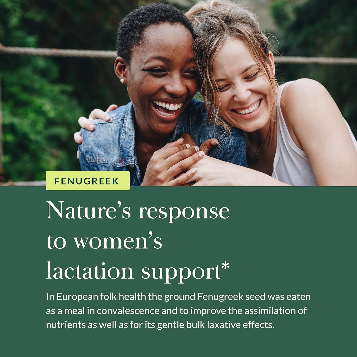 Gaia Herbs Fenugreek Seed - Helps Support Healthy Lactation And Breast Milk Production* - Made With Organic Fenugreek Seeds - 60 Vegan Liquid Phyto-Capsules (Up To 15-Day Supply) : Health & Household