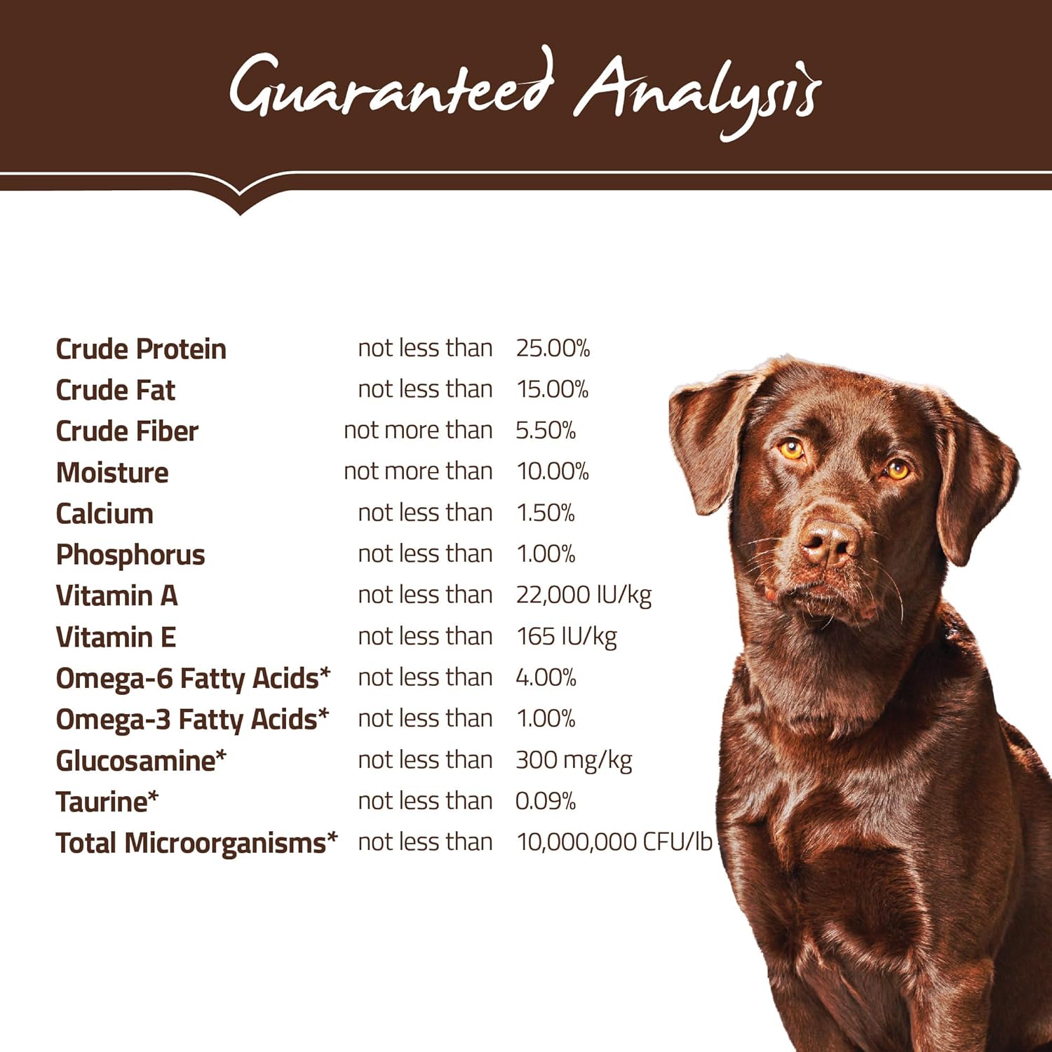 Holistic Select Natural Dry Dog Food, Chicken Meal & Rice Recipe, 30-Pound Bag : Pet Supplies