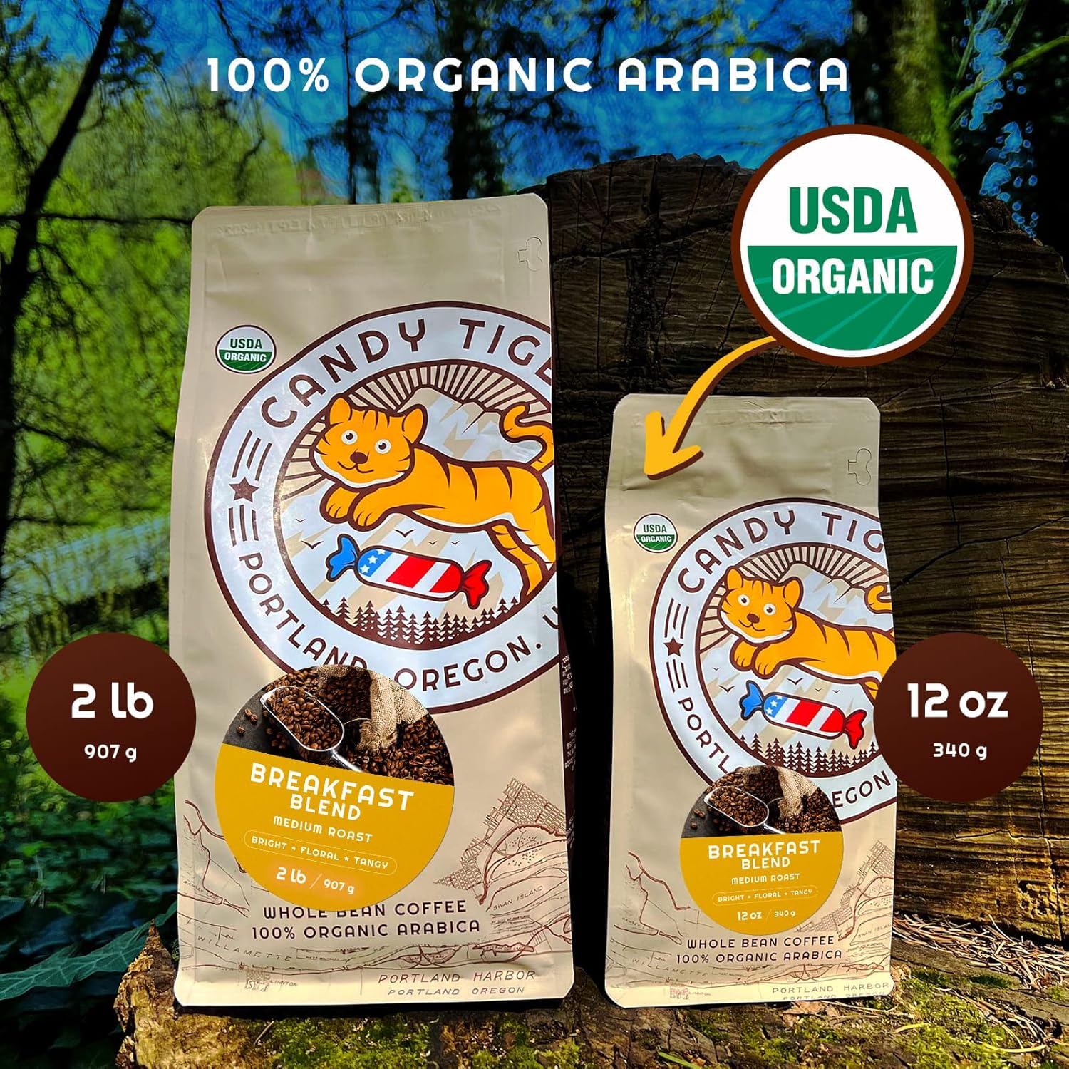 Low Acid Coffee Beans - Whole Bean Coffee Medium Roast - Organic Nicaragua Coffee, Direct Trade - Gourmet Coffee With Peach, Honey, Tangerine & Toffee Flavors (Breakfast Blend) 2 Lb Bag