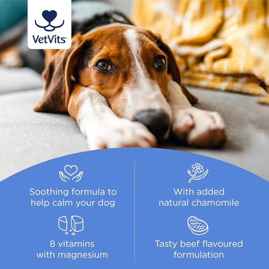 Vetvits By Healthspan Magicalm For Dogs (60 Tablets) | For Naturally Calmer & Less Anxious Dogs | Gentle, Soothing Formulation | Magnesium, Chamomile & B Vitamins | Tasty Beef Flavoured (60 Tablets)
