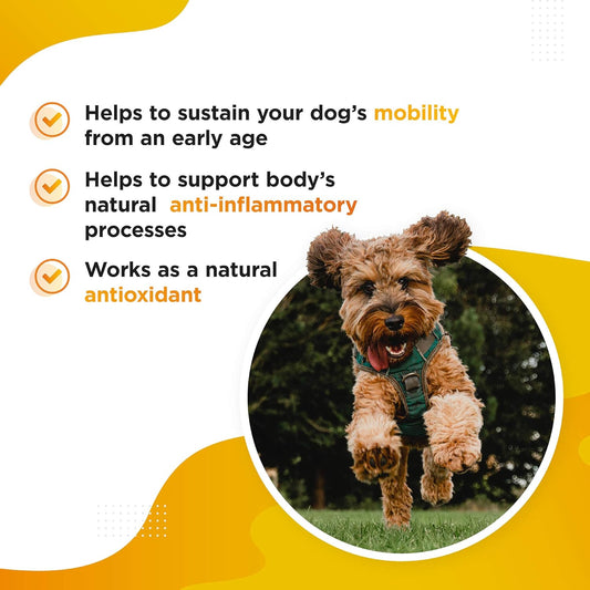 Dog's Lounge - Meric - Advanced Turmeric Extract for Dogs with 95% Curcuminoids and Black Pepper - Antioxidant Hip & Joint Care Supplement Made in the UK (60 Capsules)