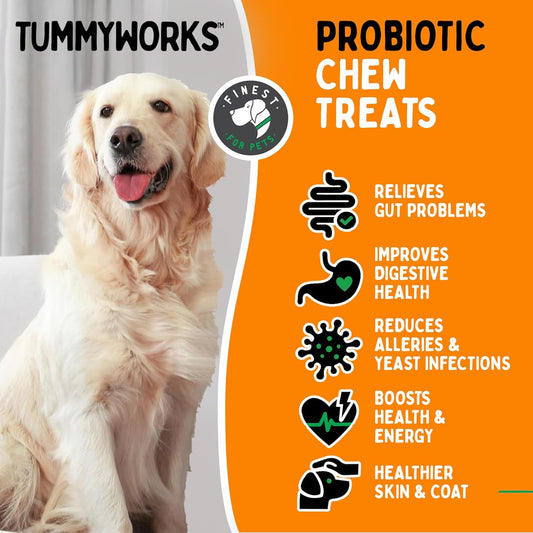 TummyWorks Probiotic 120 Soft Chews for Dogs All Ages - Supports Digestive Health, Relieves Diarrhea, Constipation, Good for Itching, Allergies, Yeast Infections. Added Digestive Enzymes, Made in USA