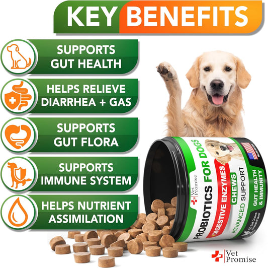 Probiotics for Dogs - Dog Probiotics and Digestive Enzymes for Gut Health, Itchy Skin, Allergies, Immunity, Yeast Balance - Prebiotics - Reduce Diarrhea, Gas - 120 Probiotic Chews Supplement for Dogs