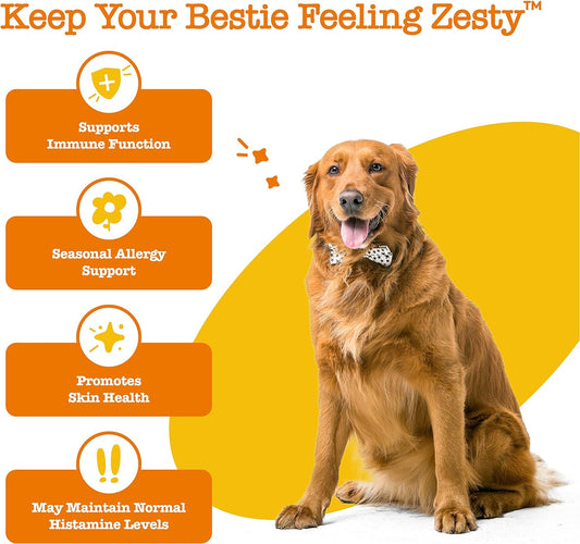 Zesty Paws Dog Allergy Relief - Anti Itch Supplement - Omega 3 Probiotics for Dogs - Digestive Health - Soft Chews for Skin & Seasonal Allergies - with Epicor Pets - Lamb - 250 Count