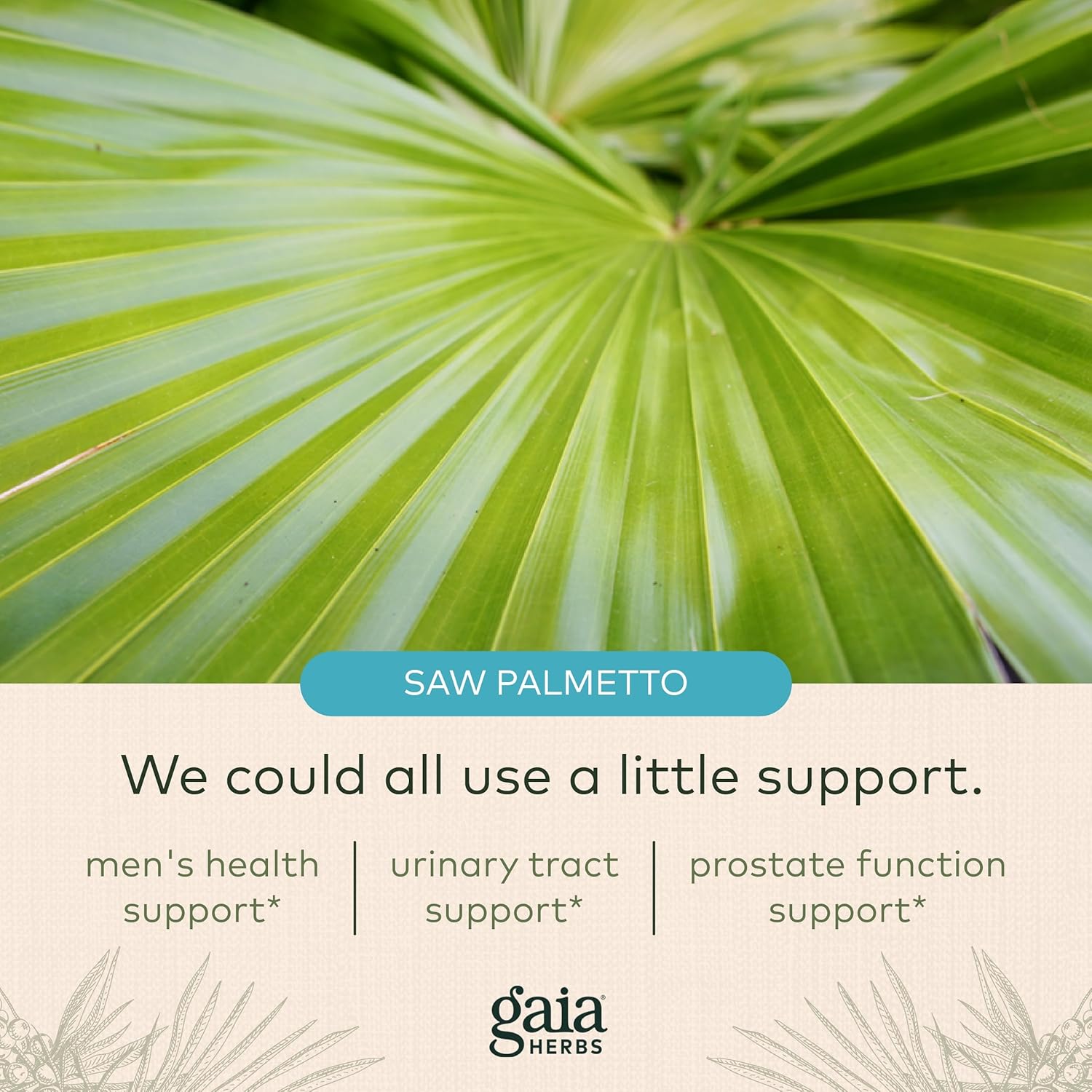 Gaia Herbs Prostate Health - Supports Prostate Health and Function for Men - with Saw Palmetto, Green Tea, Nettle Root, and White Sage - 60 Vegan Liquid Phyto-Capsules (20-Day Supply) : Health & Household