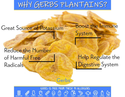 GERBS Lightly Sea Salted Plantain Chips 2 LBS. | Freshly Dehydrated Resealable Bulk Bag | Top Food Allergy Free | Sulfur Dioxide Free |Fun healthy alternative to potato chips | Gluten & Peanut Free