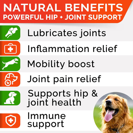 Strellalab Hemp Treats + Glucosamine For Dogs - Hip & Joint Supplement - W/Hemp Oil + Protein - Chondroitin, Msm, Turmeric To Improve Mobility & Energy - Natural Joint Pain Relief, 120 Chews