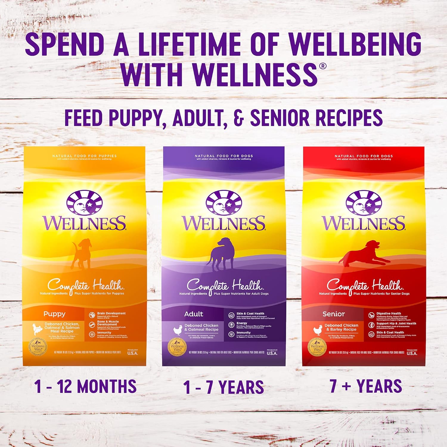 Wellness Complete Health Large Breed Dry Puppy Food, Chicken, Brown Rice & Salmon Meal, 5 Pound Bag Wet Puppy Food, Chicken & Salmon, 12 Cans, 12.5 Ounce Can : Pet Supplies