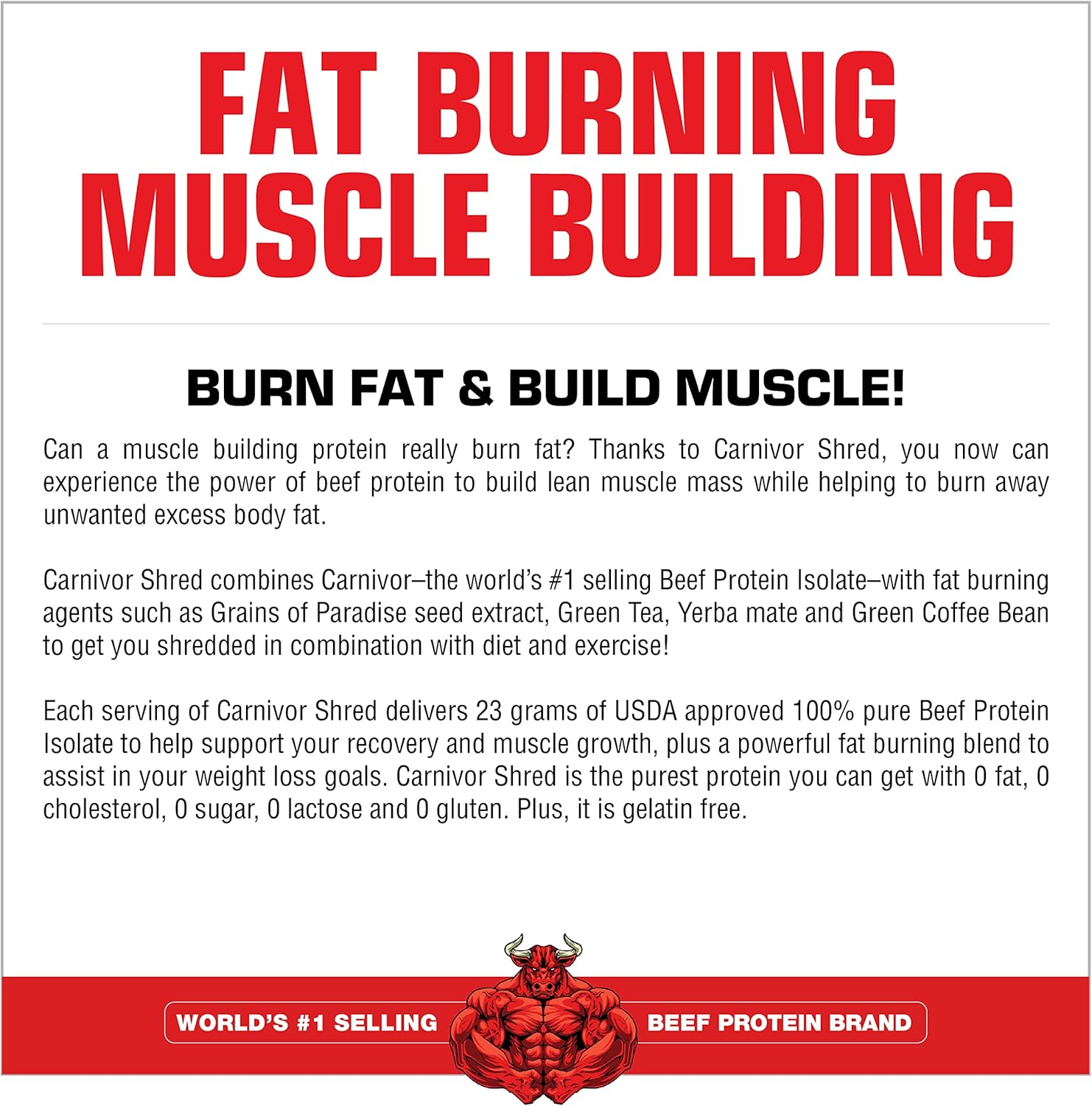 Musclemeds Carnivor Shred Fat Burning Hydrolized Beef Protein Isolate, 0 Lactose, 0 Sugar, 0 Fat, Chocolate, 4.35 Lbs : Health & Household